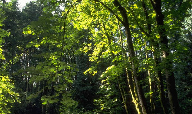 Bed and Breakfast Tout pour Toi