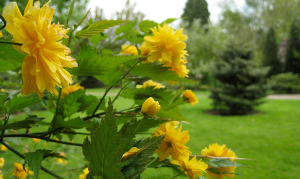 De tuin bij Tout Pour Toi